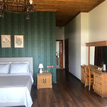 Stone Hotel Alanya